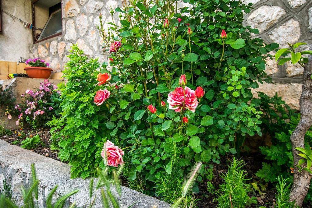 Diana Rooms&Apartments Starigrad Paklenica Exterior foto